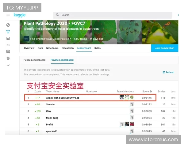 满冠体育网页版登录安全策略，确保每一次登录都安全无忧