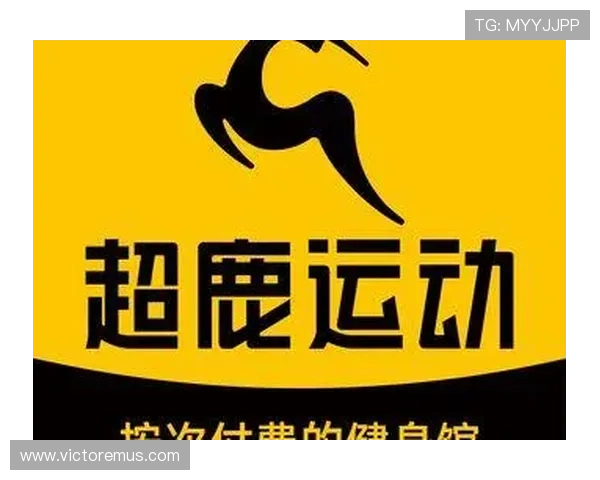 详细介绍mk体育官网入口的使用流程与常见问题解答