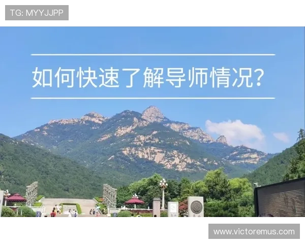v体育官网入口官网地址最新官方入口全面指南帮助玩家快速登录与注册